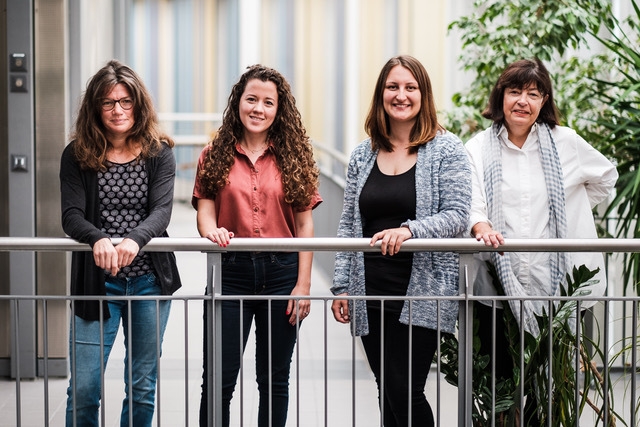 Schulsozialarbeit Kreisgemeinde